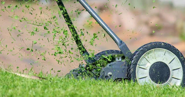 Akku Rasenmäher schneidet Gras