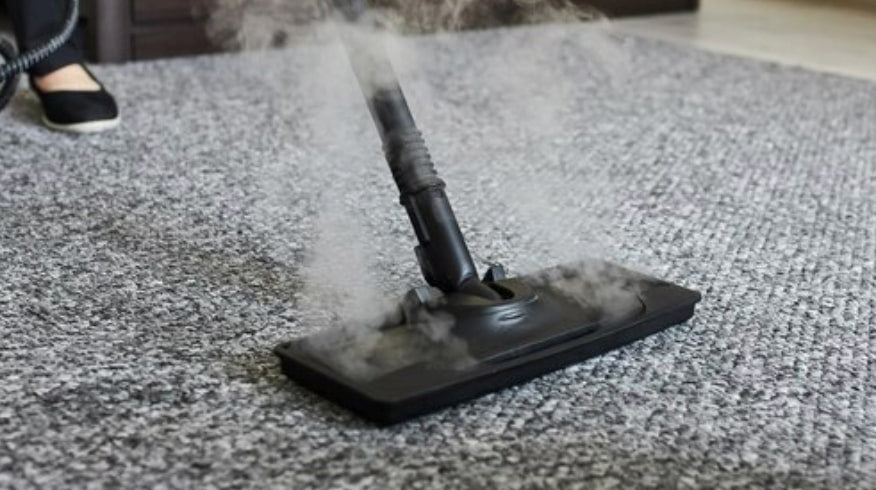 Wie bekommt man Hundegeruch aus dem Teppich: Effektive Tipps und Tricks